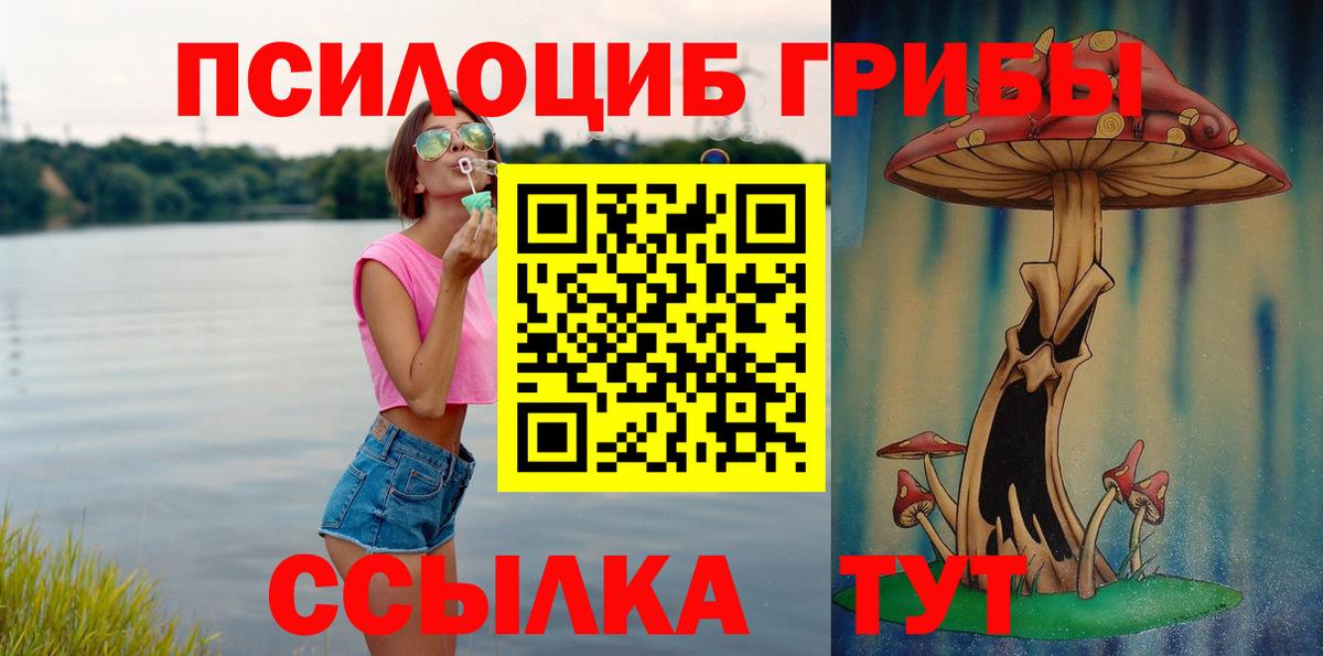 Белогорск  Галлюциногенные грибы Cubensis  Вход с VPN 